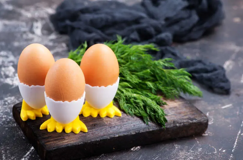 Boiled chicken eggs on the egg cup