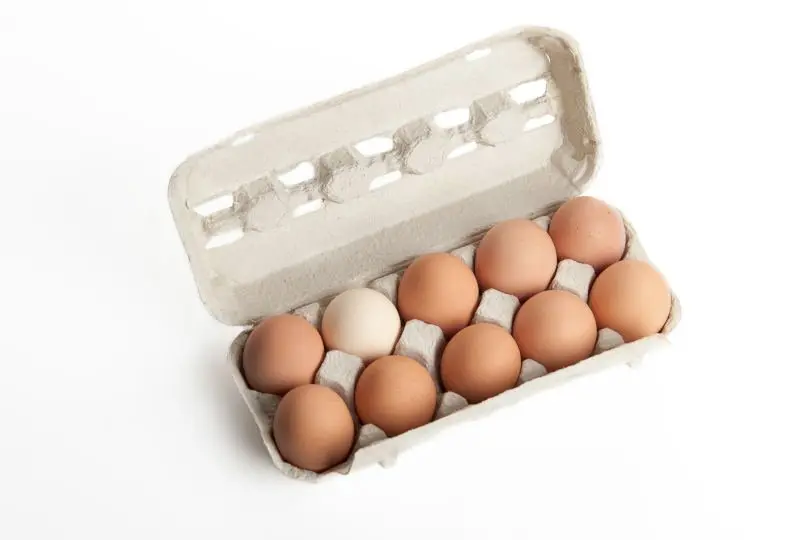The hen's eggs in egg holder